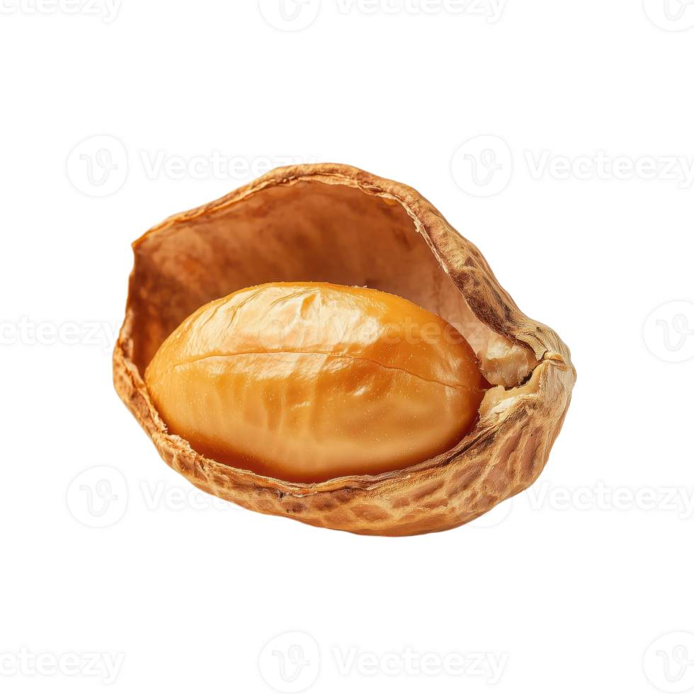 Close-up of a peanut revealing the kernel within its cracked shell showcasing the contrast between texture and color on a transparent background png