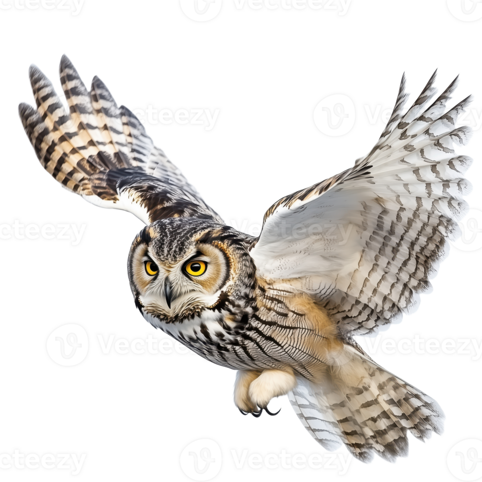 An owl soars through the night sky its wings spread wide in graceful flight a magnificent predator on the hunt Captivating png