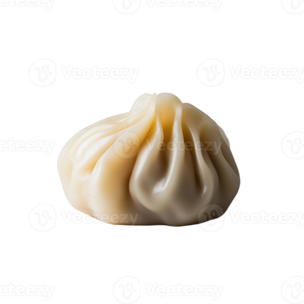 Steamed Soup Dumpling A delicate culinary creation ready to be devoured A tempting treat that encapsulates flavor and culture png