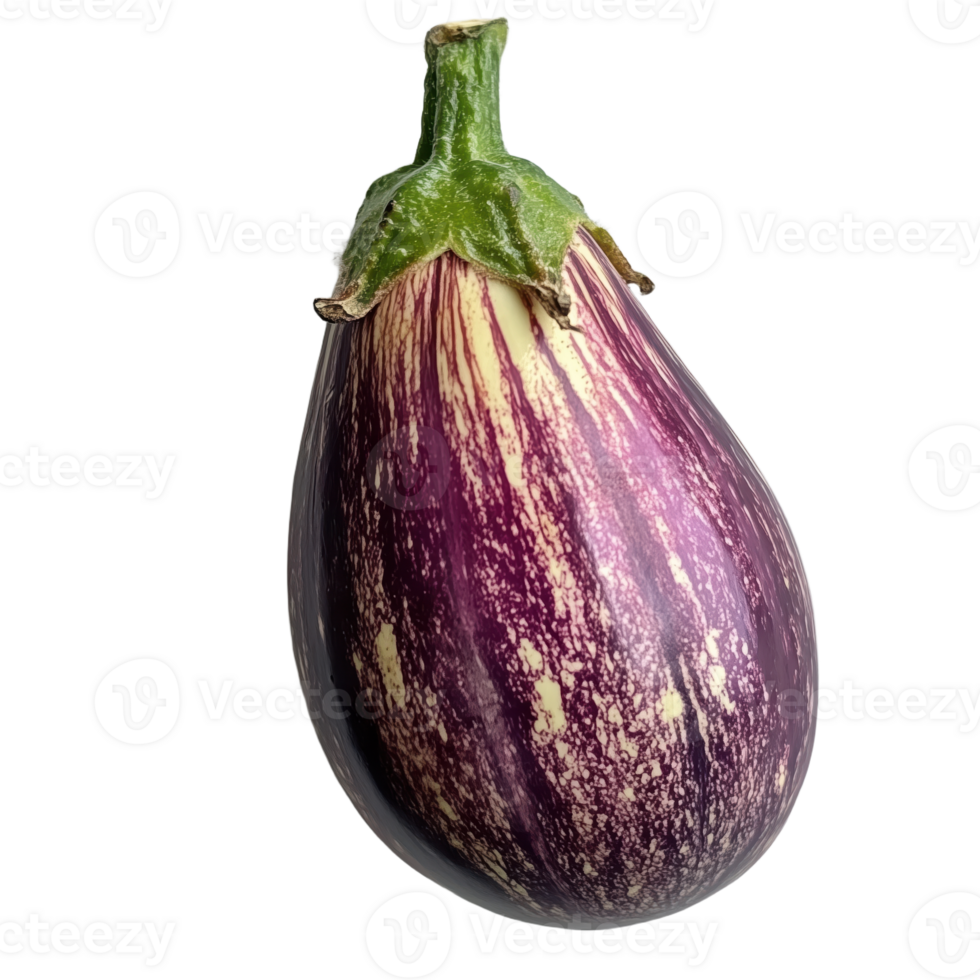 A purple and striped eggplant standing tall against a backdrop The vegetable's vibrant colors and smooth texture are clearly displayed png