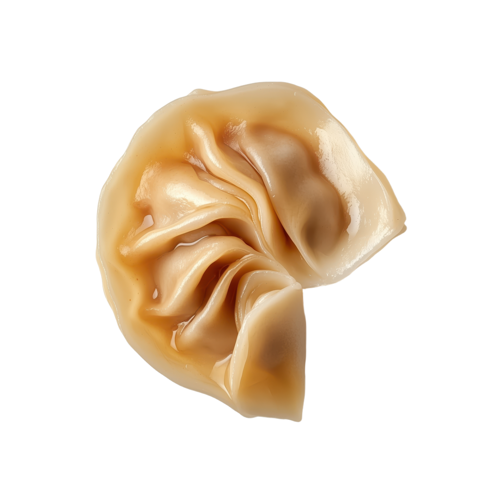 Delicious dumpling on a This culinary delight showcases Asian cuisine and savory goodness making it an irresistible treat png