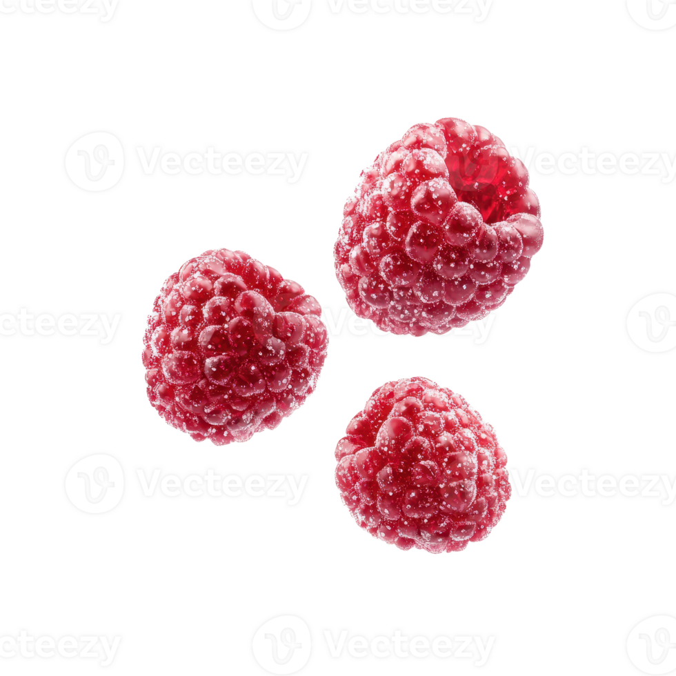 Three plump raspberries float against a stark backdrop their vibrant red hues and delicate texture drawing the eye showcasing their freshness png