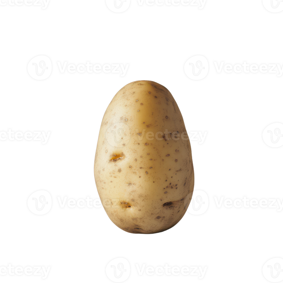 Isolated potato on a transparent background highlighting its natural texture and organic shape Perfect for culinary or agricultural themes png