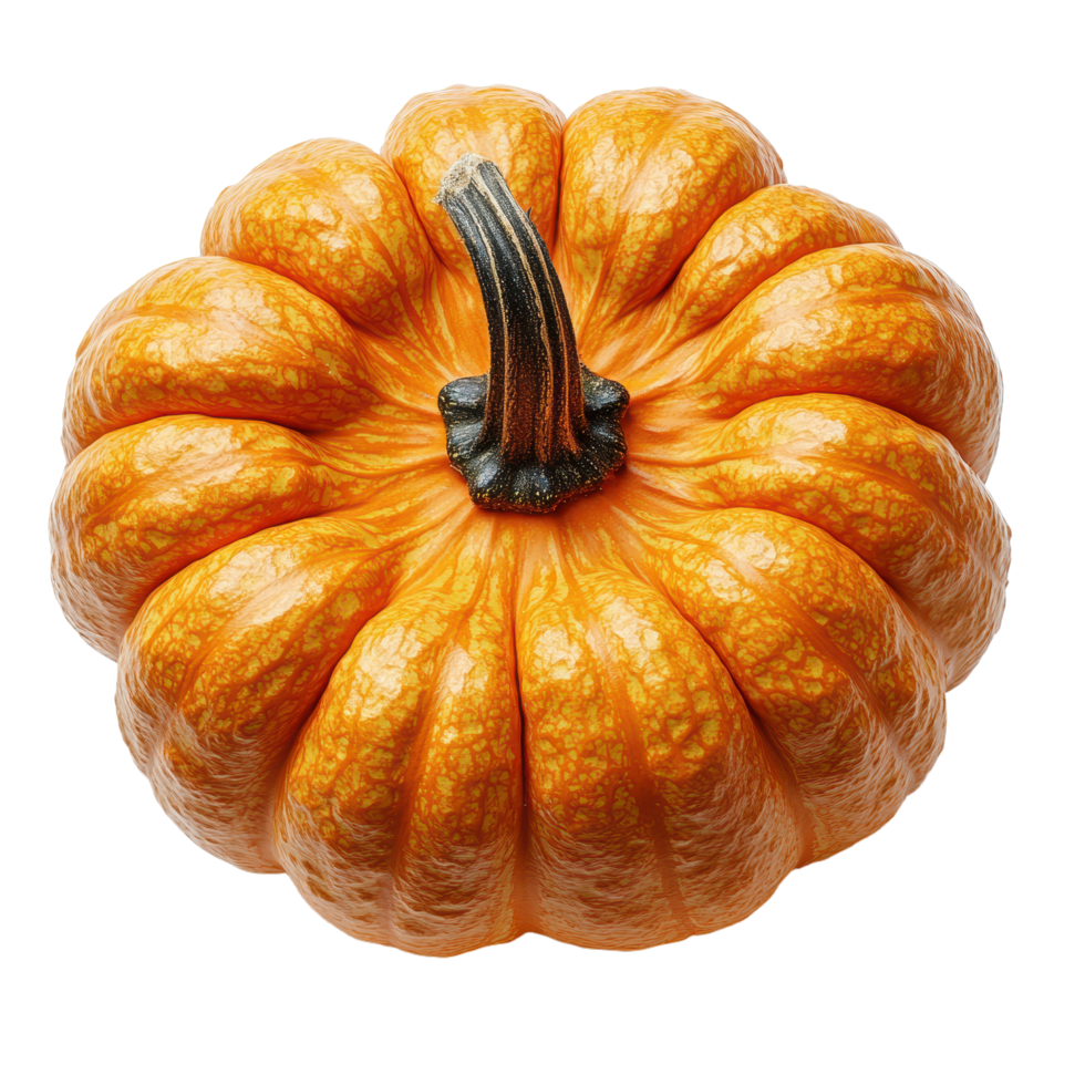 Vibrant pumpkin with textured skin and prominent stem A symbol of autumn harvests and festive decorations showcased on a plain background png