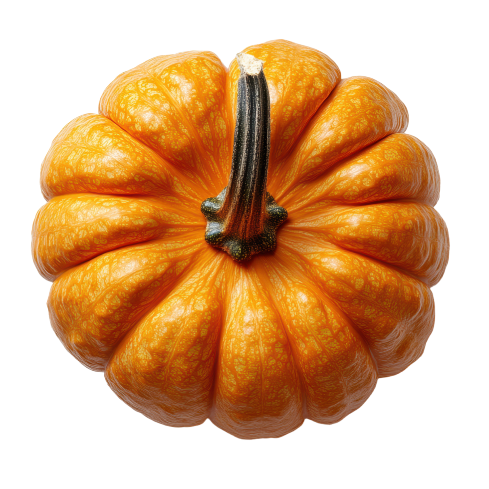 Vibrant pumpkin against a backdrop highlighting its texture and form Ideal for autumn themes 150 characters max png