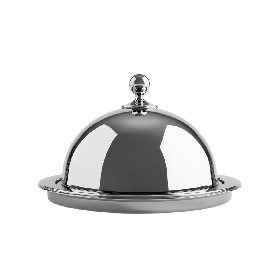 Elegant silver cloche cover for fine dining service or upscale kitchen setting a catering essential Isolated presentation 146 char png