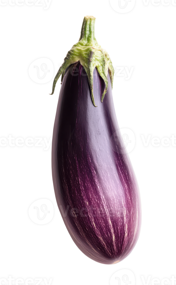 Striking eggplant on transparent background showcasing vibrant purple hues and unique striping pattern Fresh natural and visually appealing png