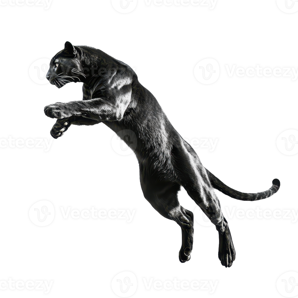 Leaping panther silhouette Sleek feline mid-jump against transparent backdrop capturing agility and wild power in simple elegance png
