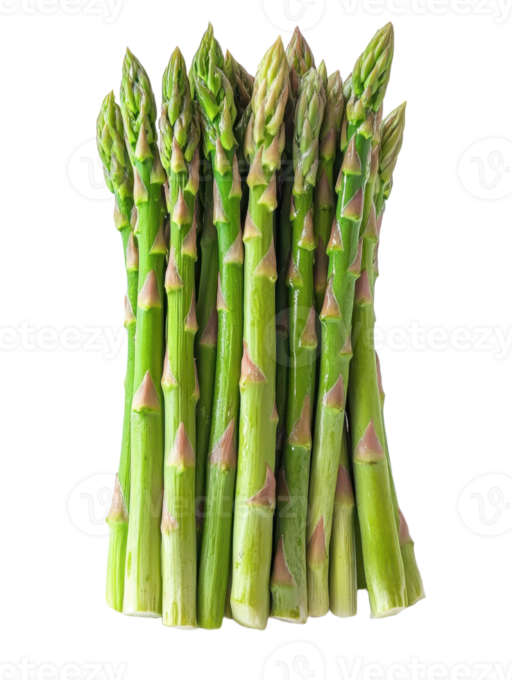 Fresh asparagus spears on transparent background vibrant green stalks and delicate tips ready for culinary creations and healthy eating png
