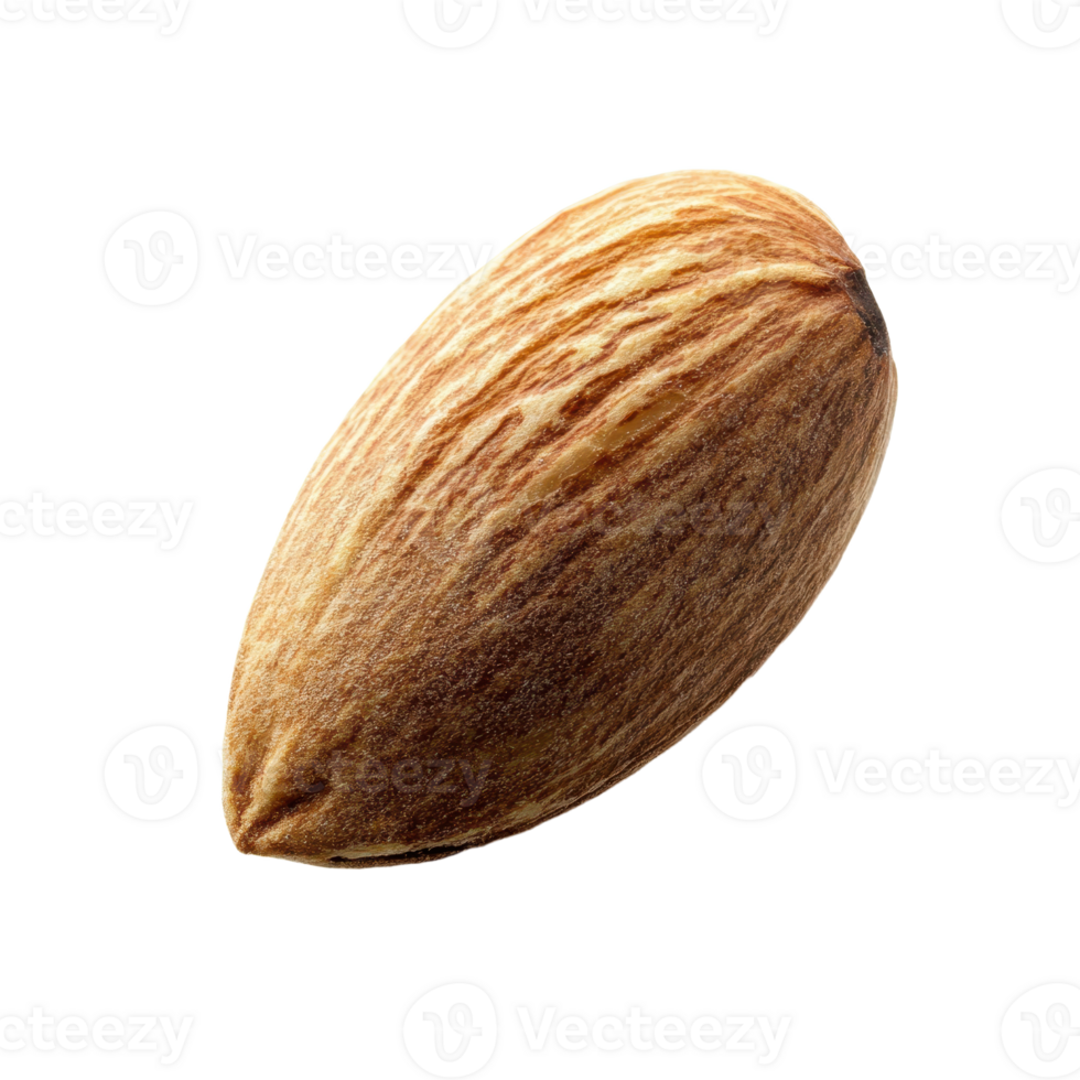 Single almond nut with textured surface and pointy end against in high resolution showcasing natural brown and beige tones png