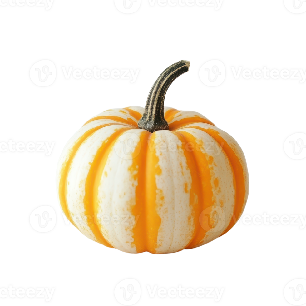 Small orange and striped pumpkin isolated against a transparent background Perfect for fall decorations png