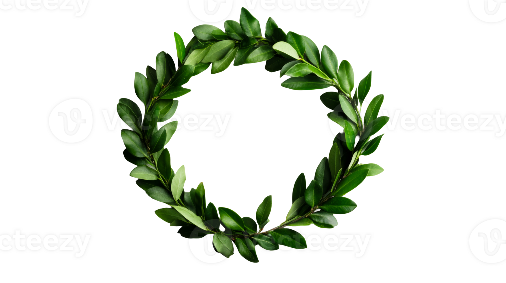 Green leaf wreath on a black backdrop, decoration, ornament , cut out transparent png