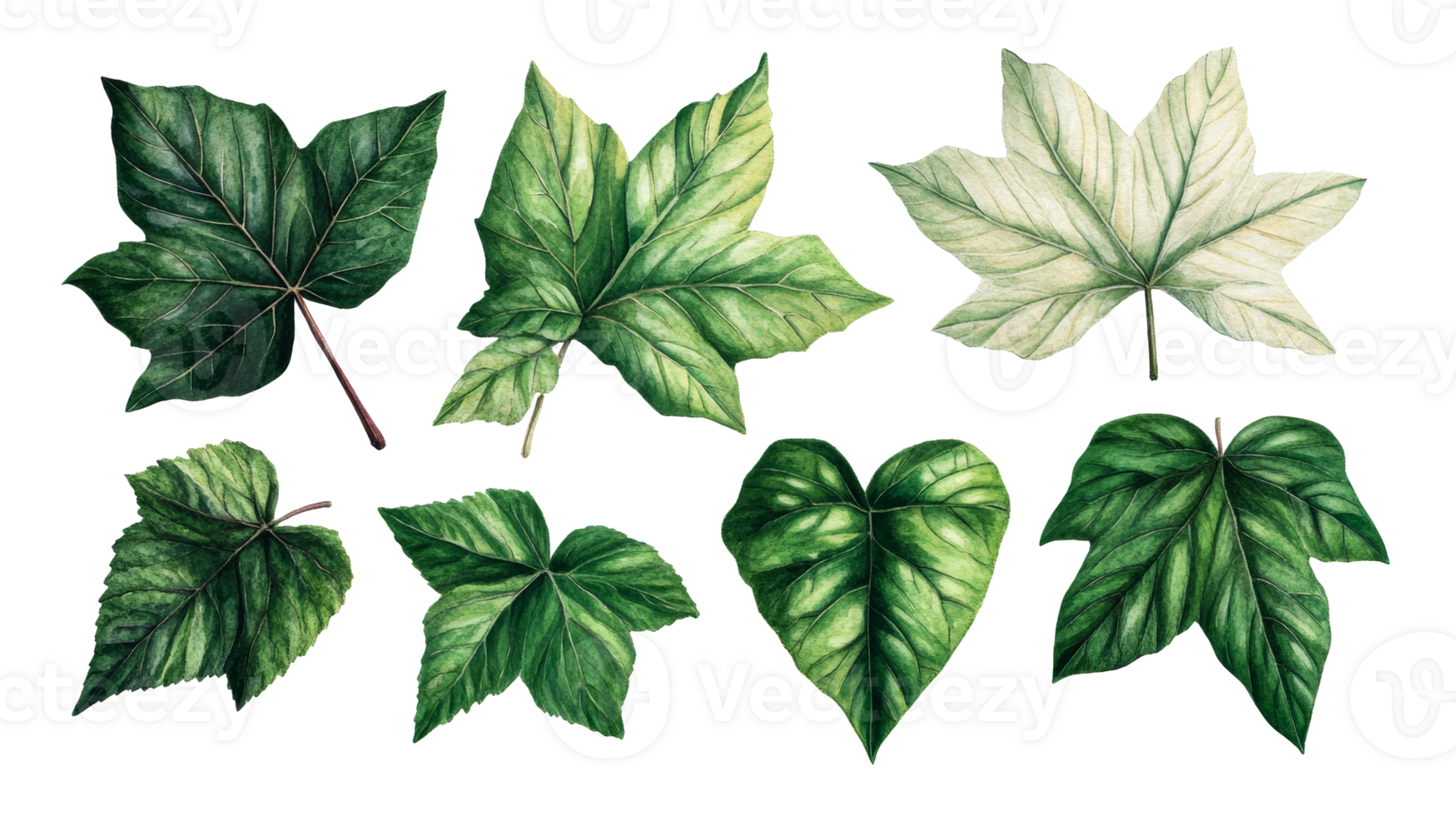 Botanical leaf illustrations, vibrant and textured, isolated on black, cut out transparent png