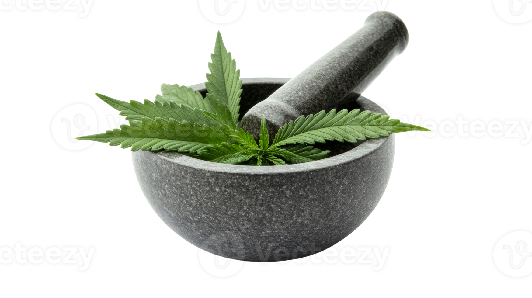 Cannabis leaves in mortar with pestle for herbal medicine, cut out transparent png
