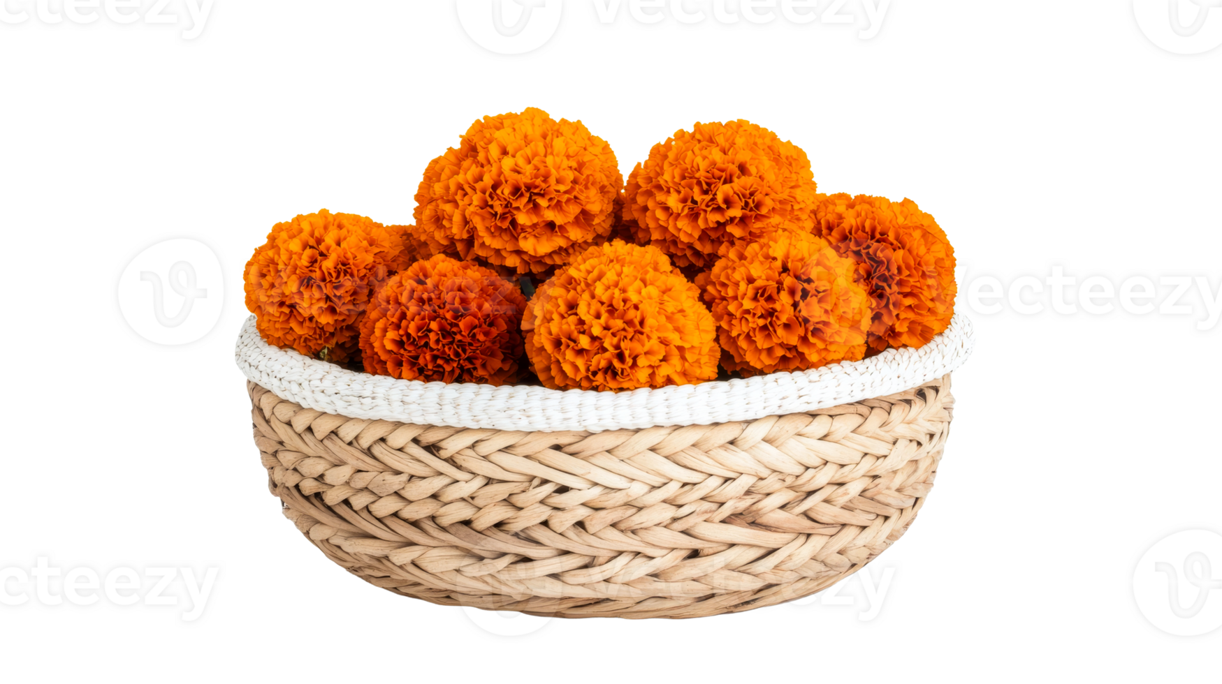 Marigolds in basket, orange flower, cut out transparent png