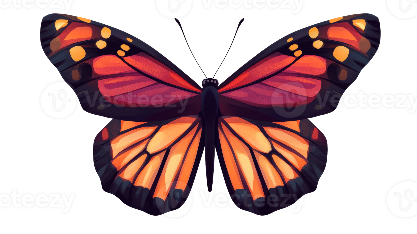 Butterfly with orange wings on a black background, cut out transparent png