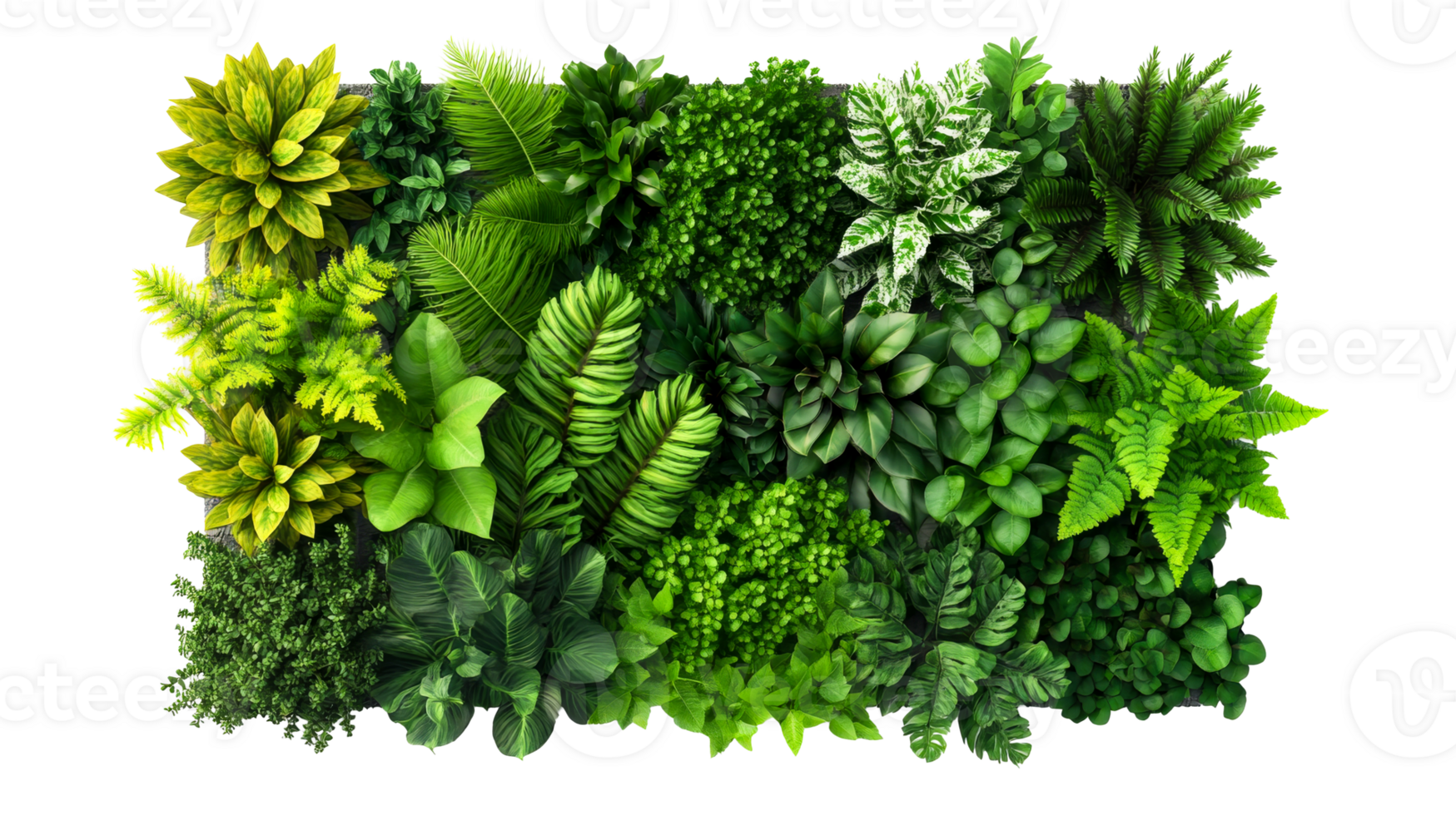 Vertical garden with green plants top view, cut out transparent png