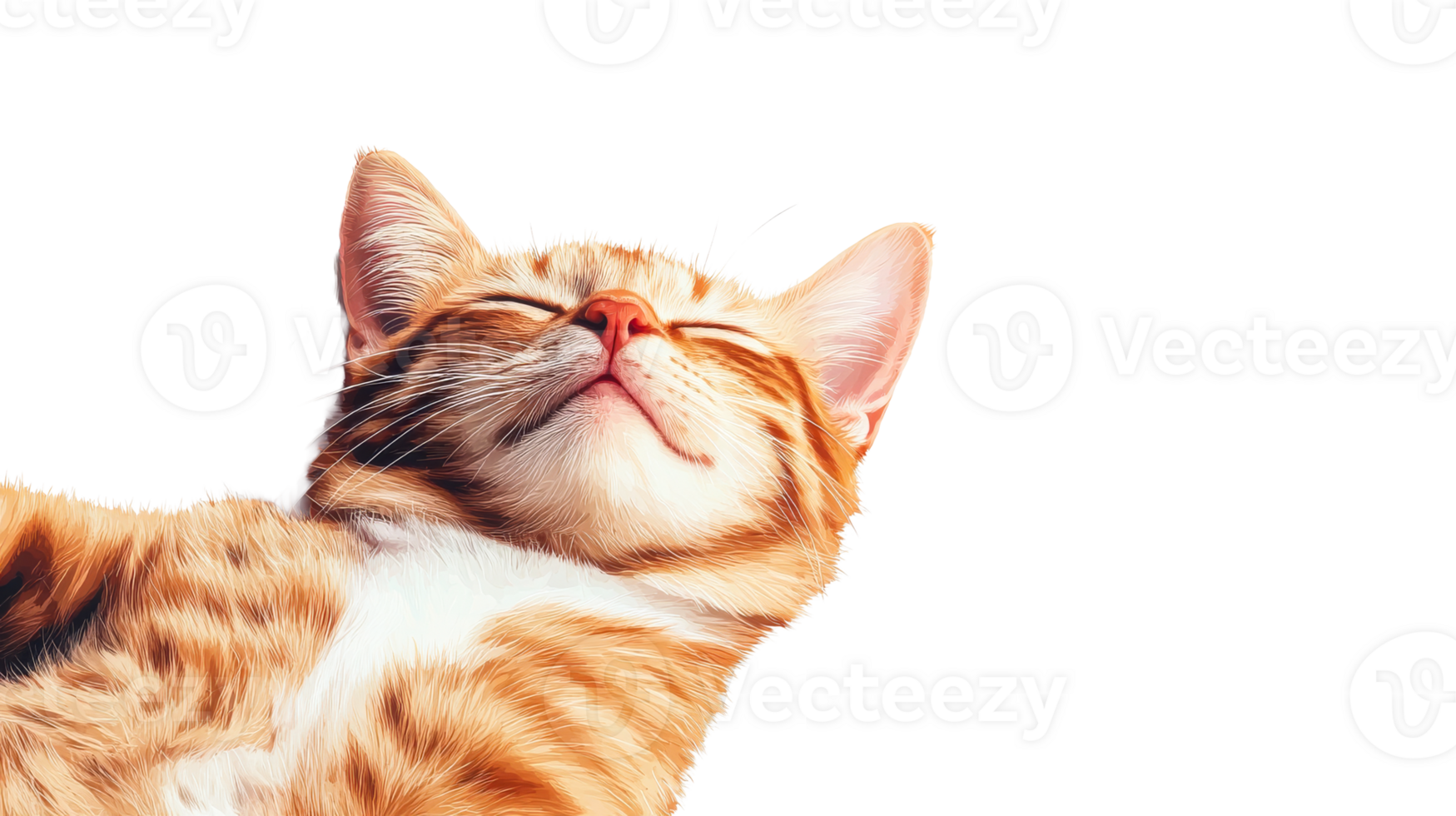 Ginger tabby cat relaxed, content, isolated against black, cut out transparent png