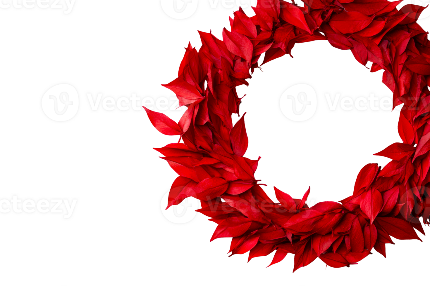 Red leaf wreath isolated on black background, design element, cut out transparent png