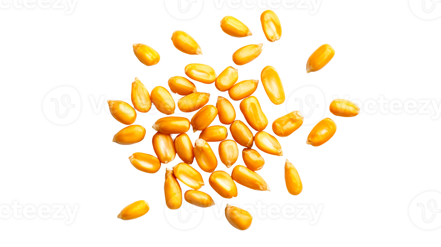 Pile of vibrant yellow corn seeds against black, cut out transparent png