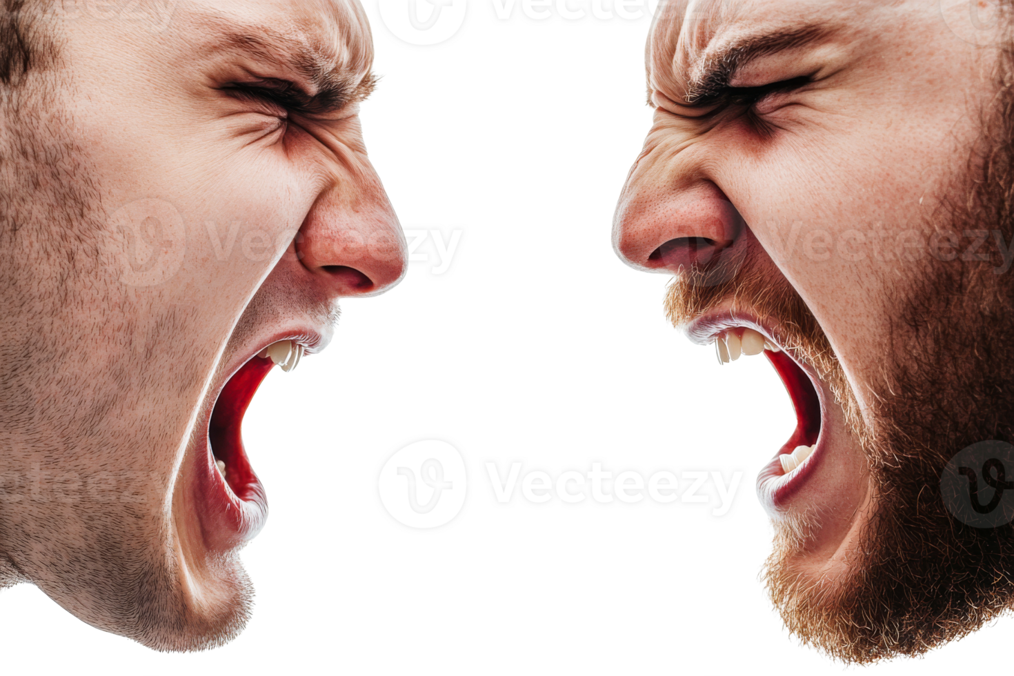 Two men screaming at each other in anger, rage, and frustration, cut out transparent png