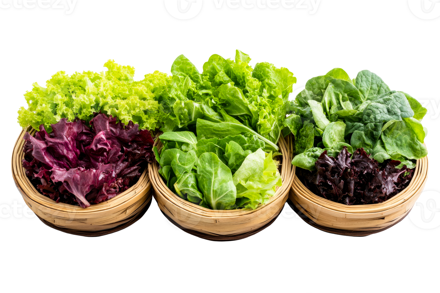Fresh lettuce and spinach varieties in baskets, cut out transparent png