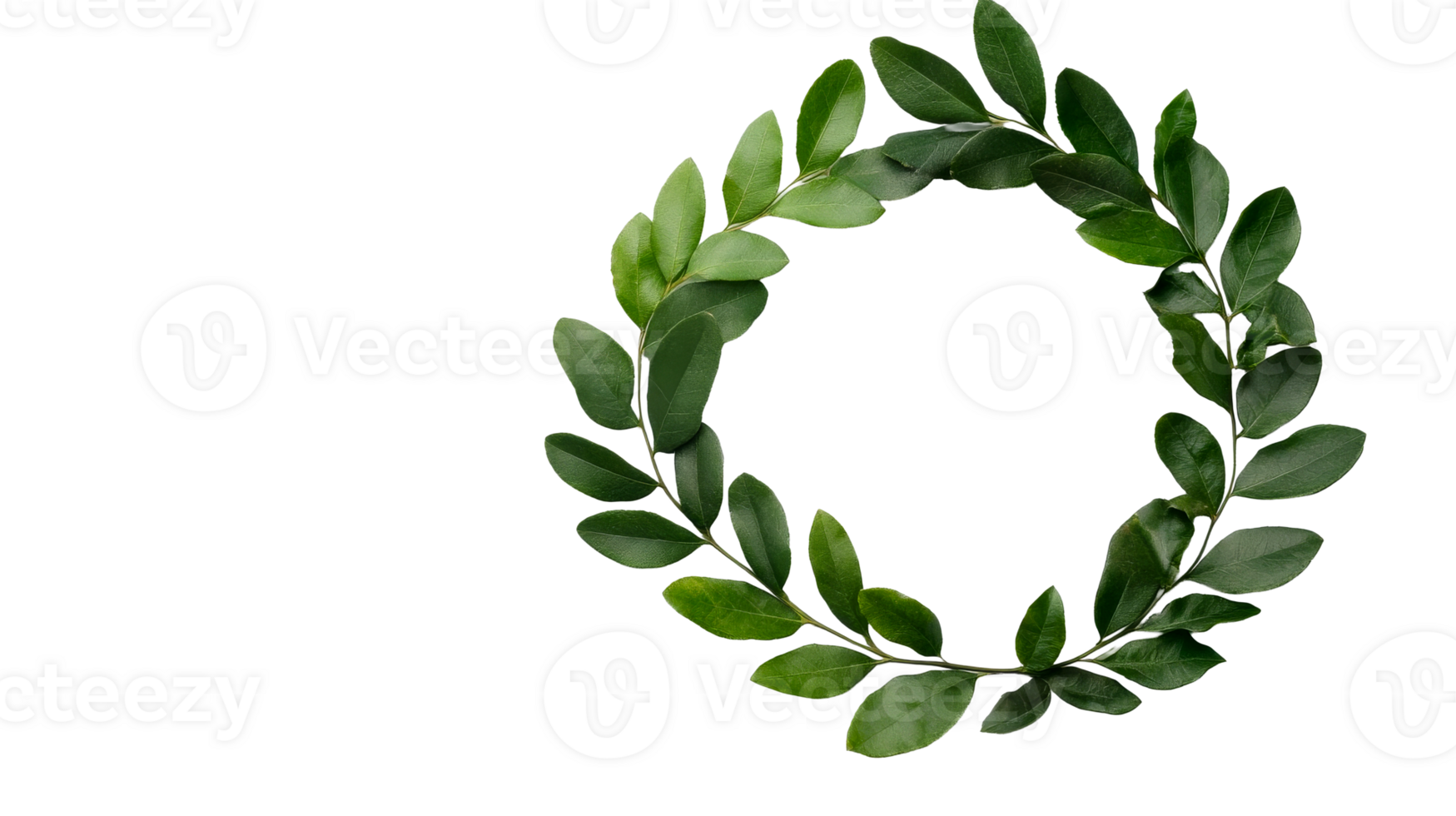 Fresh green leaves arranged in a wreath, circle frame, cut out transparent png