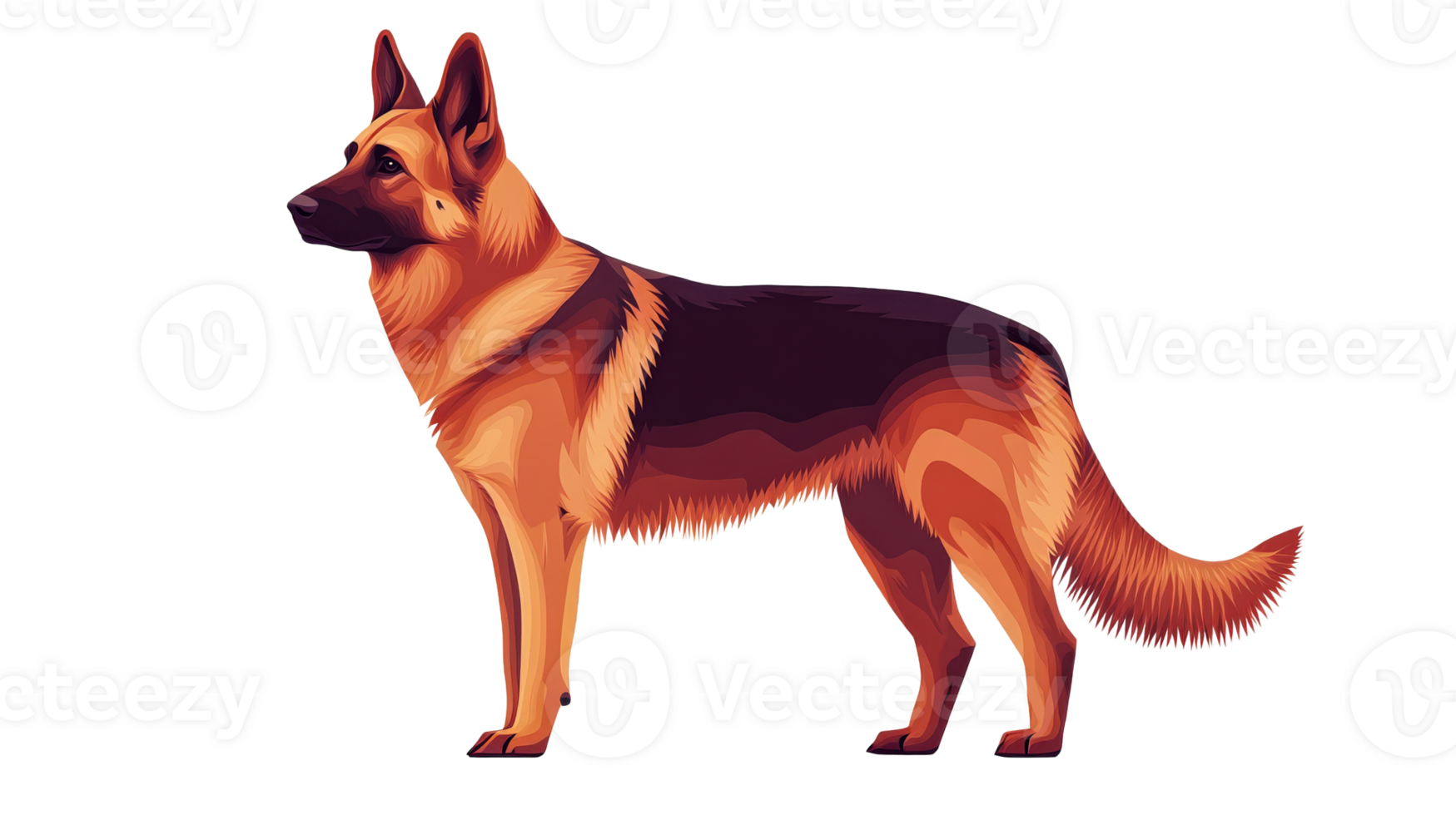 Alert German Shepherd dog stands, showcasing its elegant features, cut out transparent png
