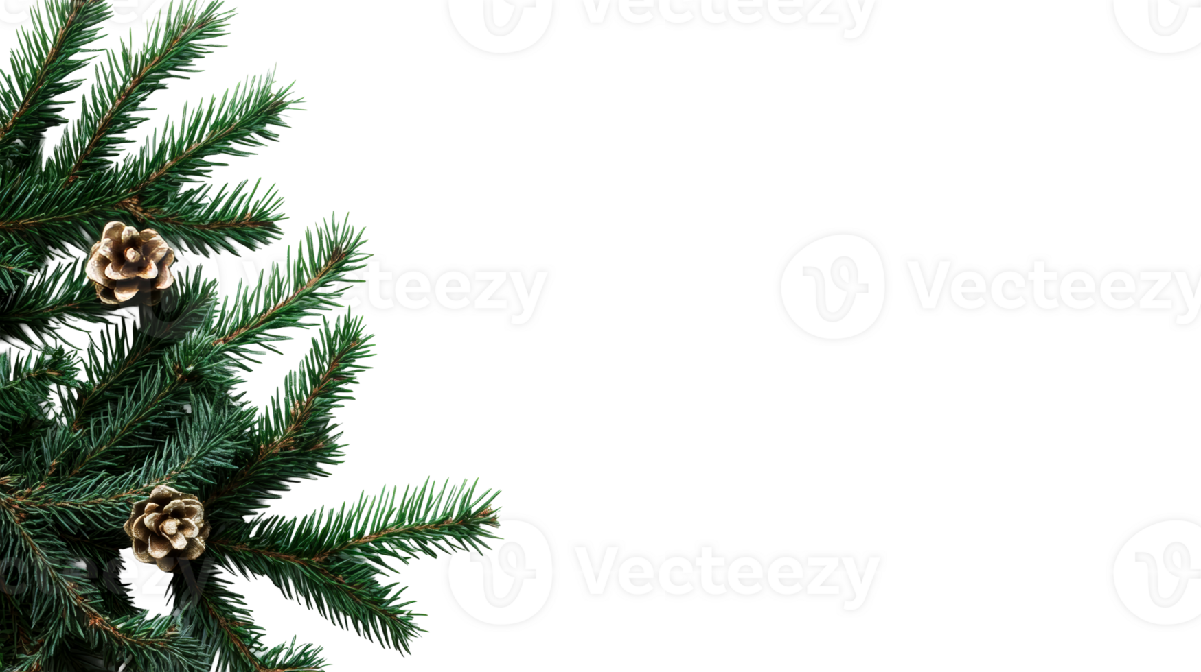 Festive Christmas tree with pine cone decorations , cut out transparent png