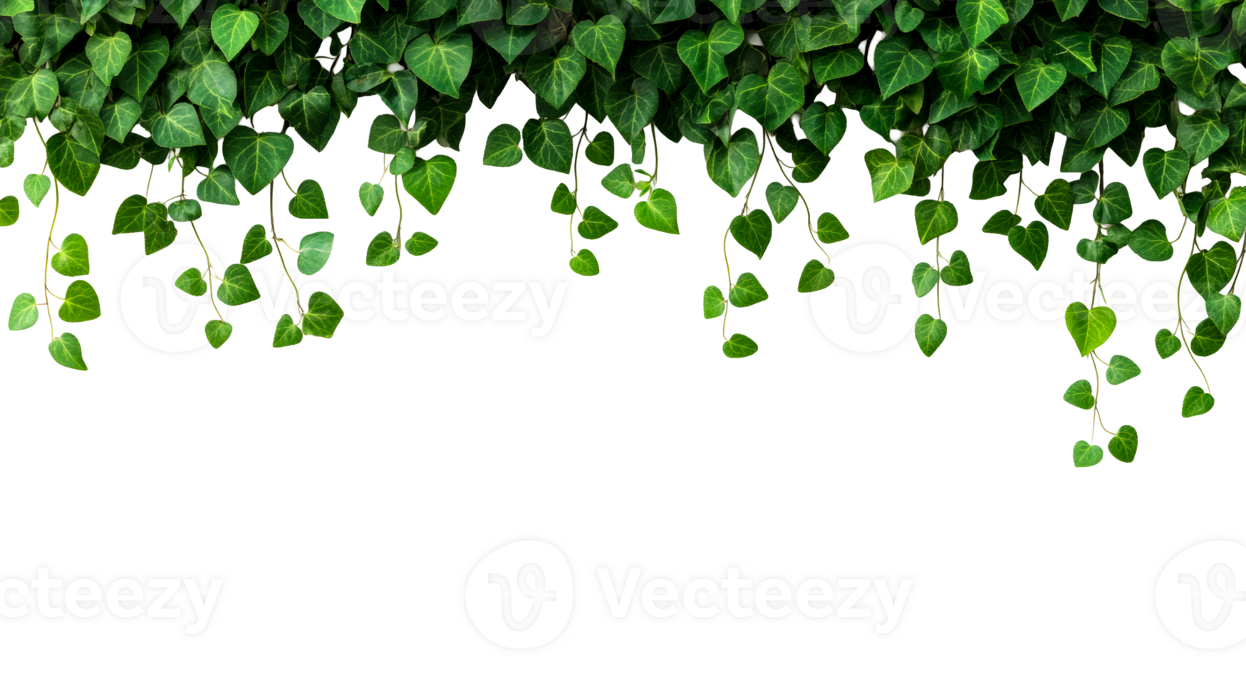 Lush green ivy garland border on transparent background, cut out transparent png