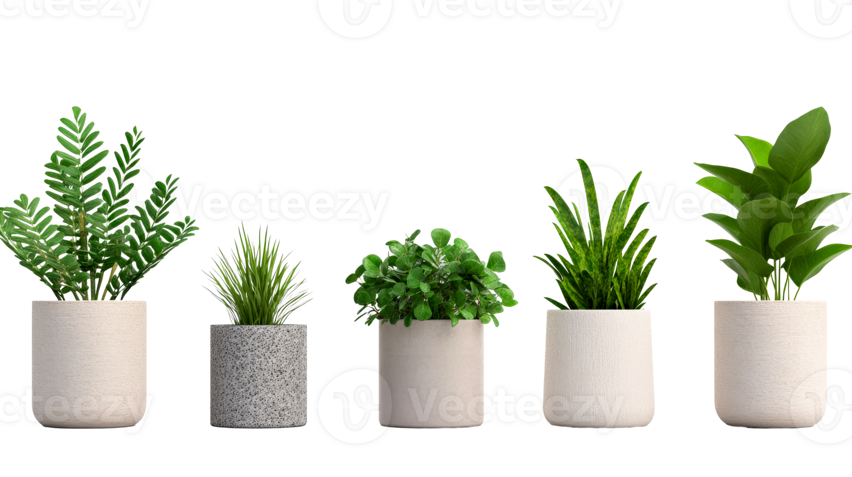 Selection of potted indoor plants on a black background, cut out transparent png