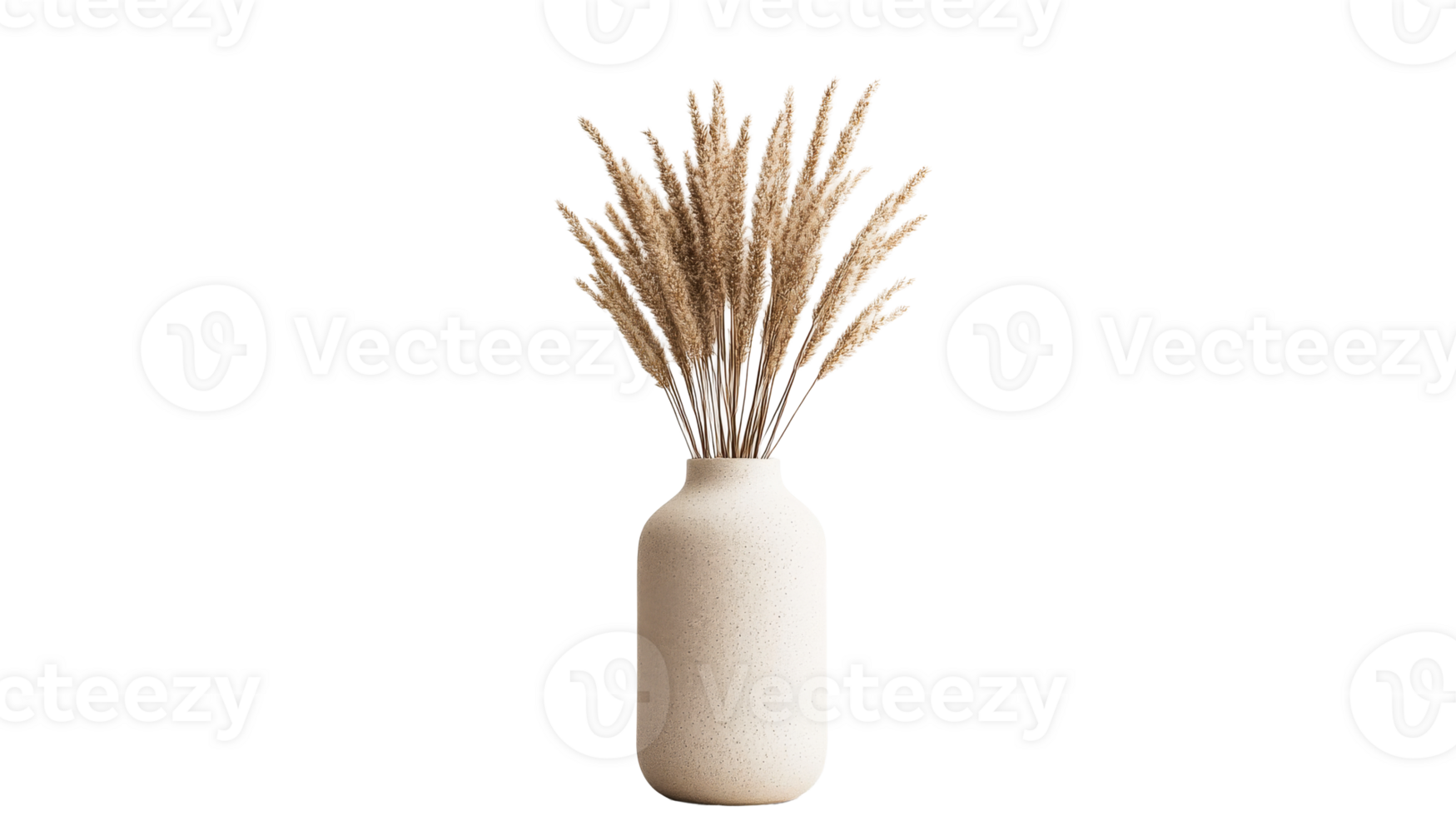Elegant vase of pampas grass, modern home decor element, cut out transparent png