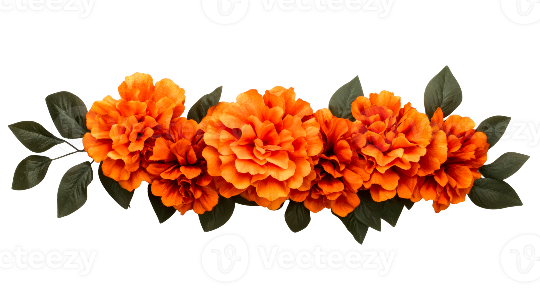 Row of vibrant orange flowers with green leaves, cut out transparent png