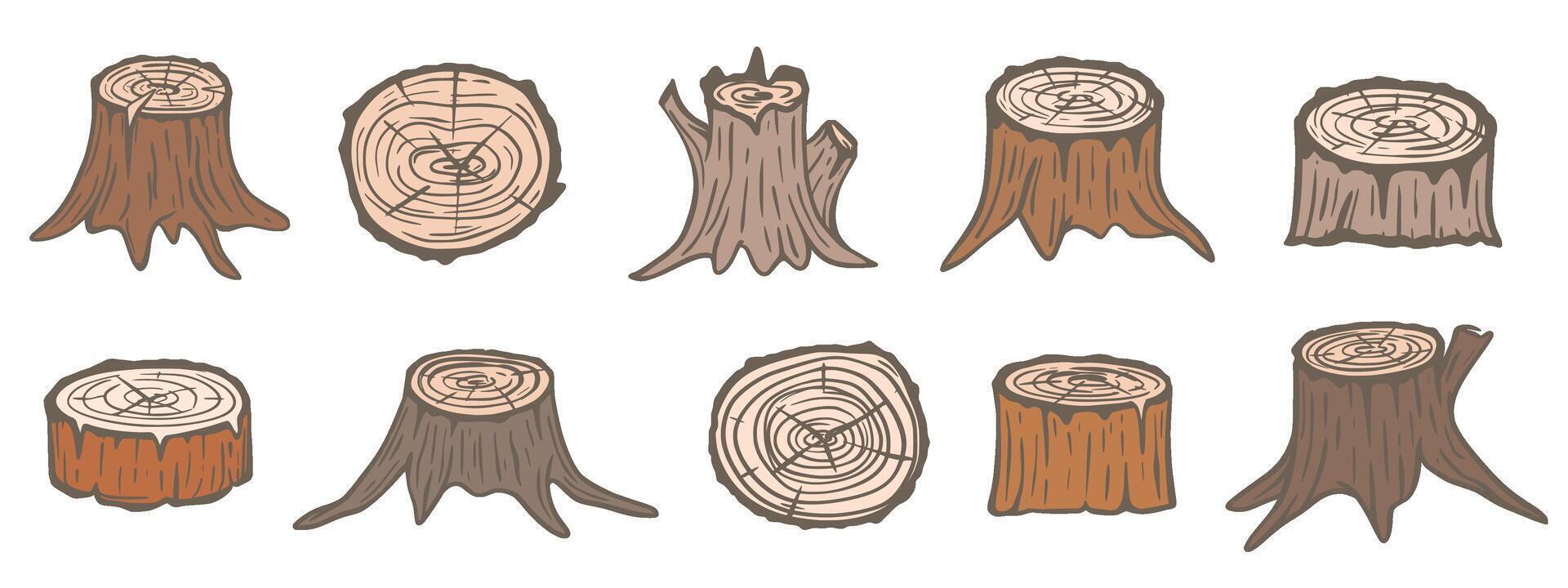 Old stumps of different trees set vector