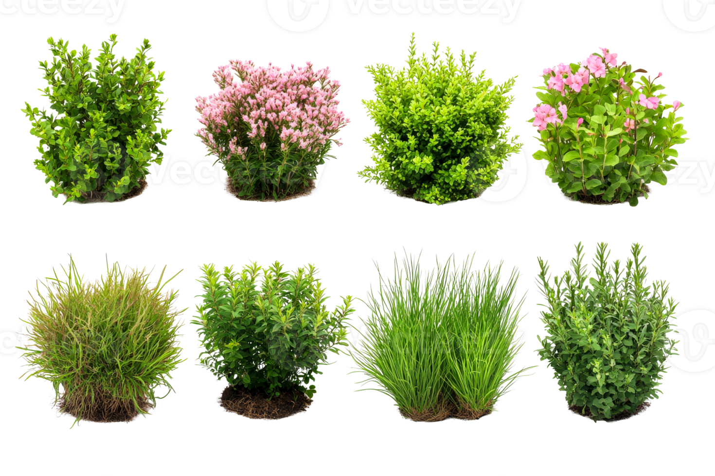 Assorted shrubbery in neat rows, various plants, vegetation, cut out transparent png