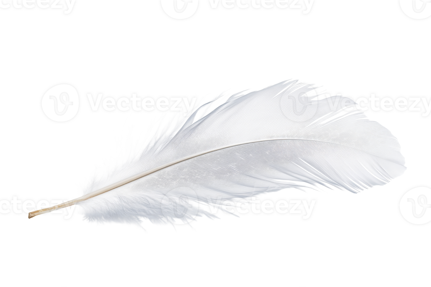 Delicate white feather isolated against a black background, cut out transparent png