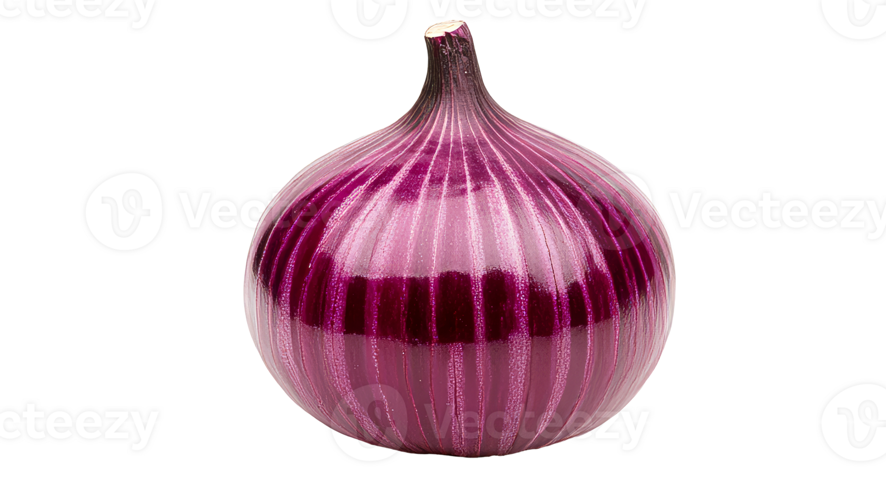 Fresh red onion bulb, closeup isolated, cut out transparent png