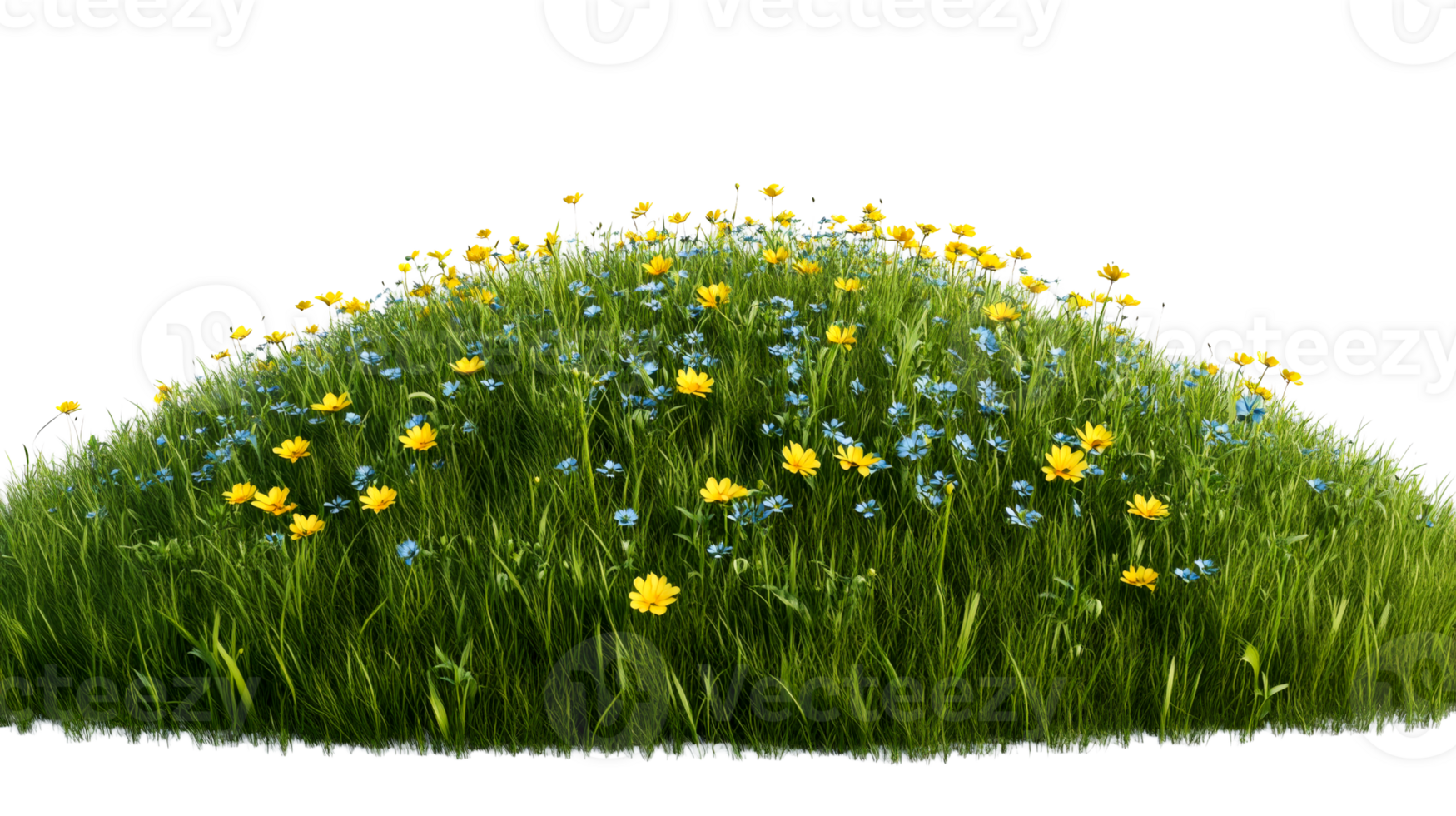 Meadow with green grass and small wildflowers, cut out transparent png