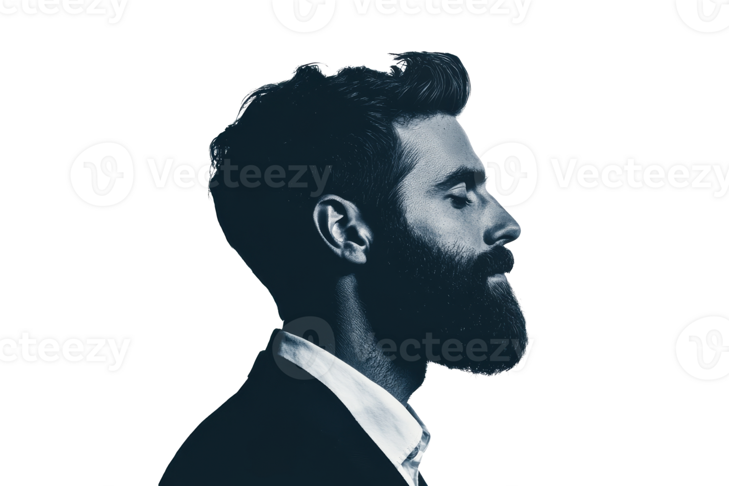 Portrait of a man in profile with a beard, haircut , cut out transparent png