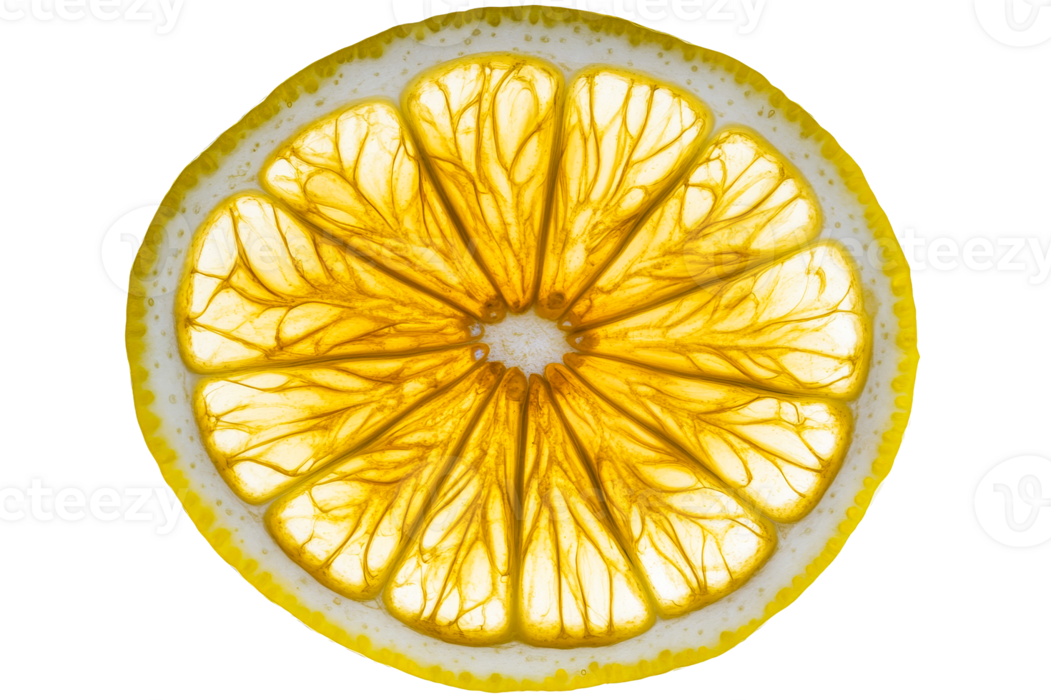 Backlit lemon slice showing fruit flesh and peel details, cut out transparent png