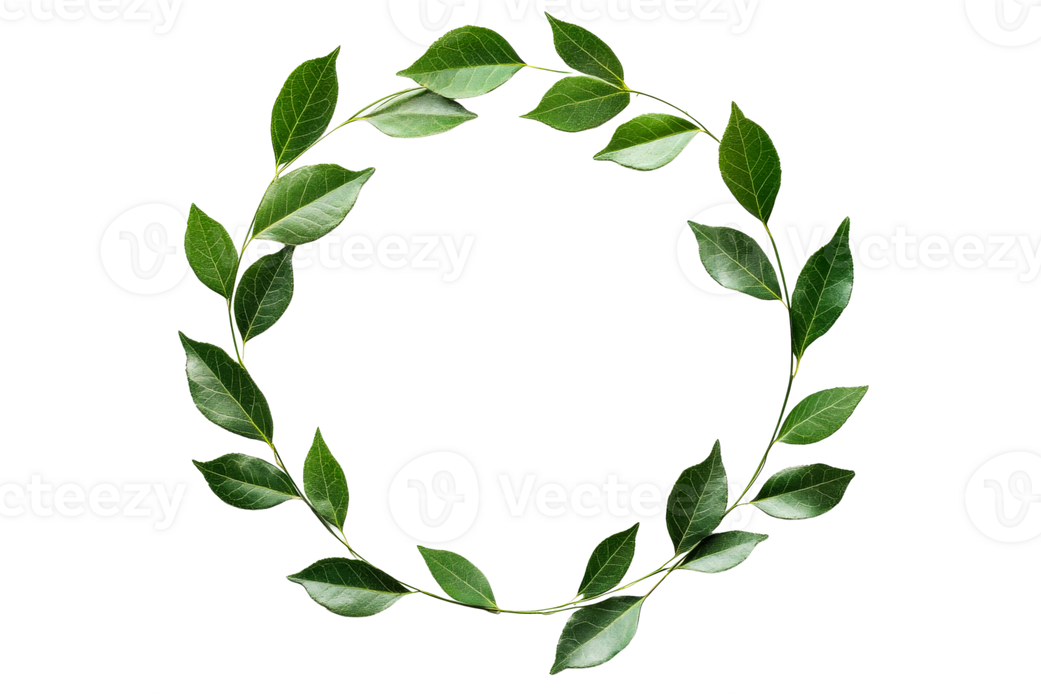 Green leaves wreath frame on black background, decoration, cut out transparent png