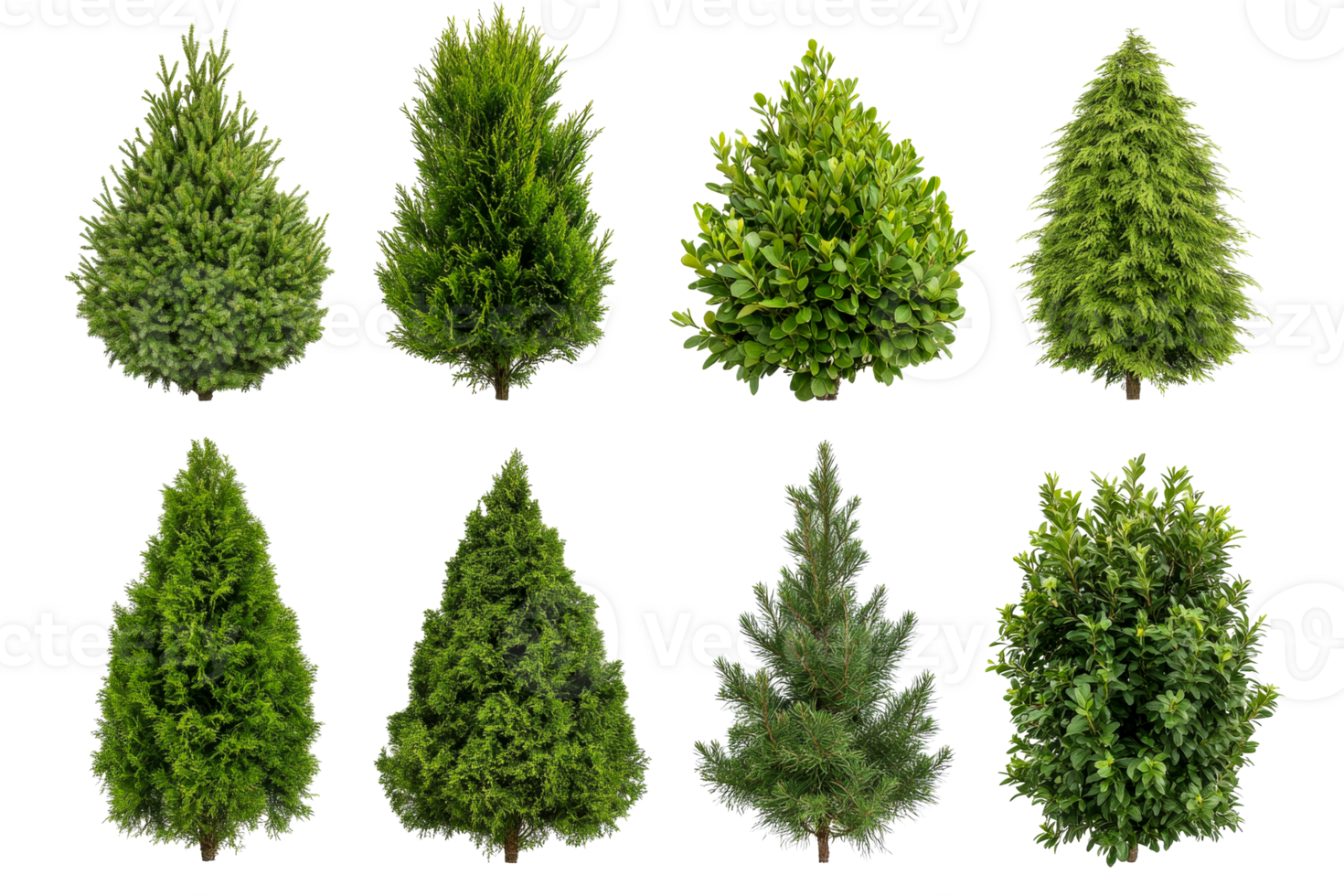 Assorted green trees, shrubs collection, isolated on black, cut out transparent png
