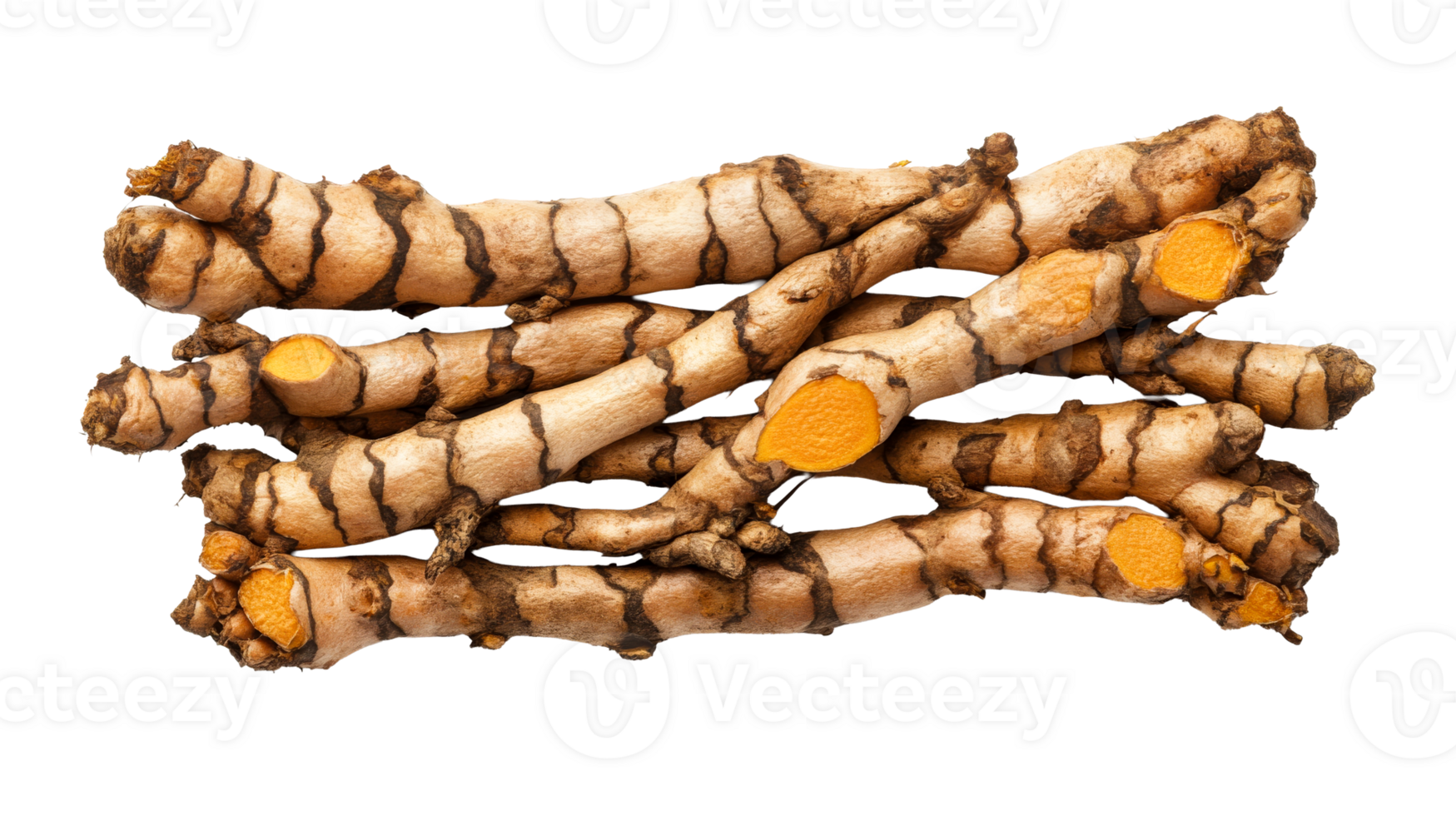 Vibrant orange turmeric roots on a clear background png