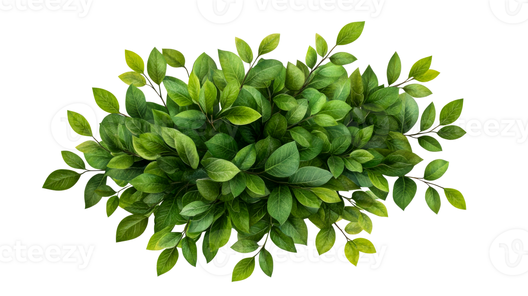 Green lush bush isolated on background, cutout transparent png