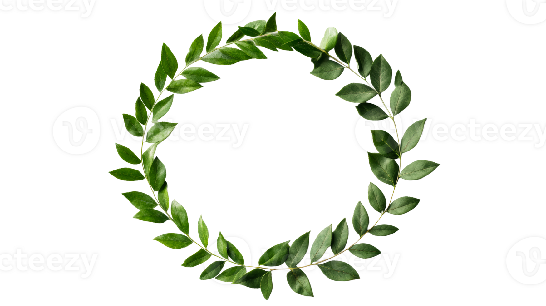 Frame made of leaves of bush with green color, cut out transparent png