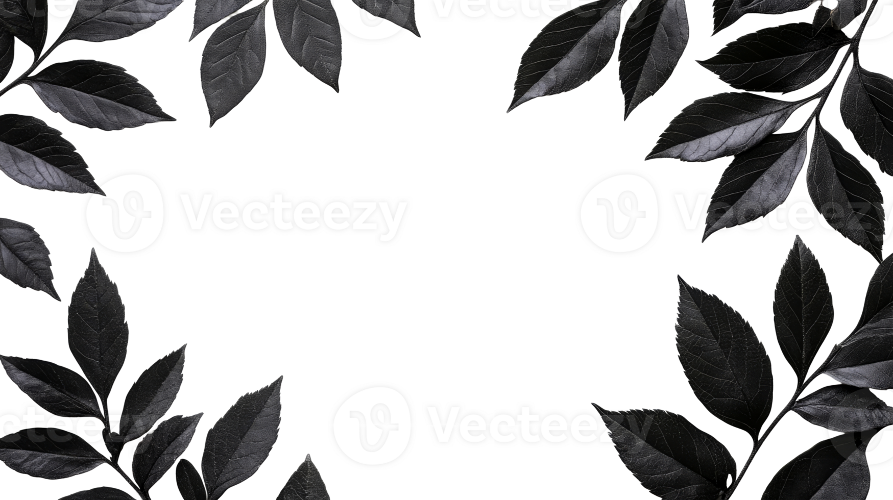 Dark leaves frame, botanical background concept, cut out transparent png