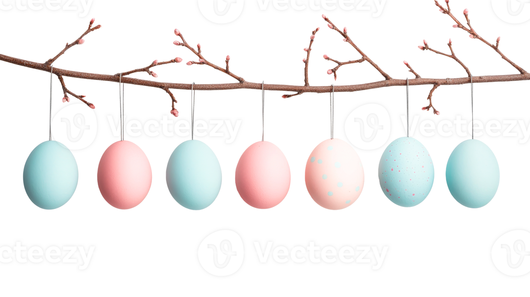 Easter eggs hanging on a branch with buds, cut out transparent png