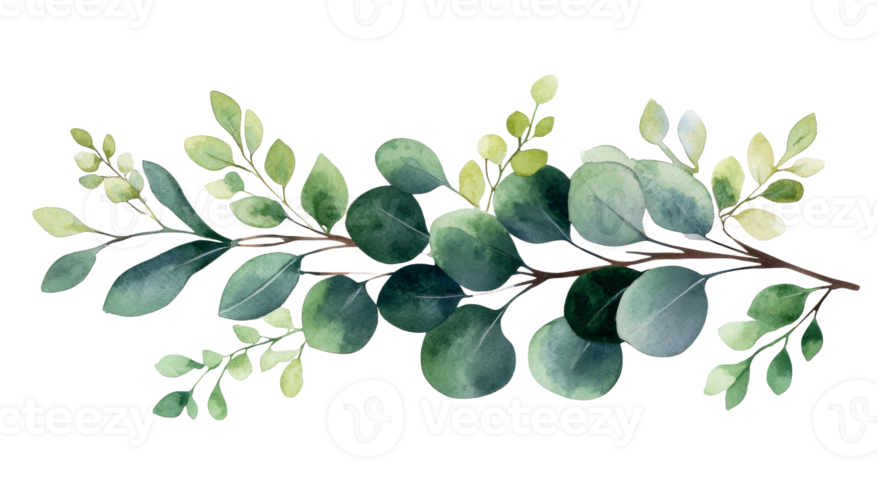 Watercolor greenery branch for decoration, cut out transparent png
