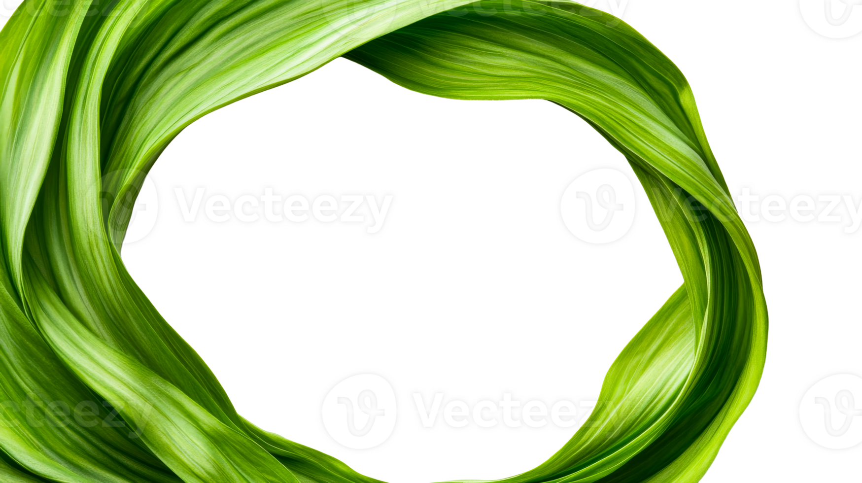 Abstract green leaves frame on black background, cut out transparent png