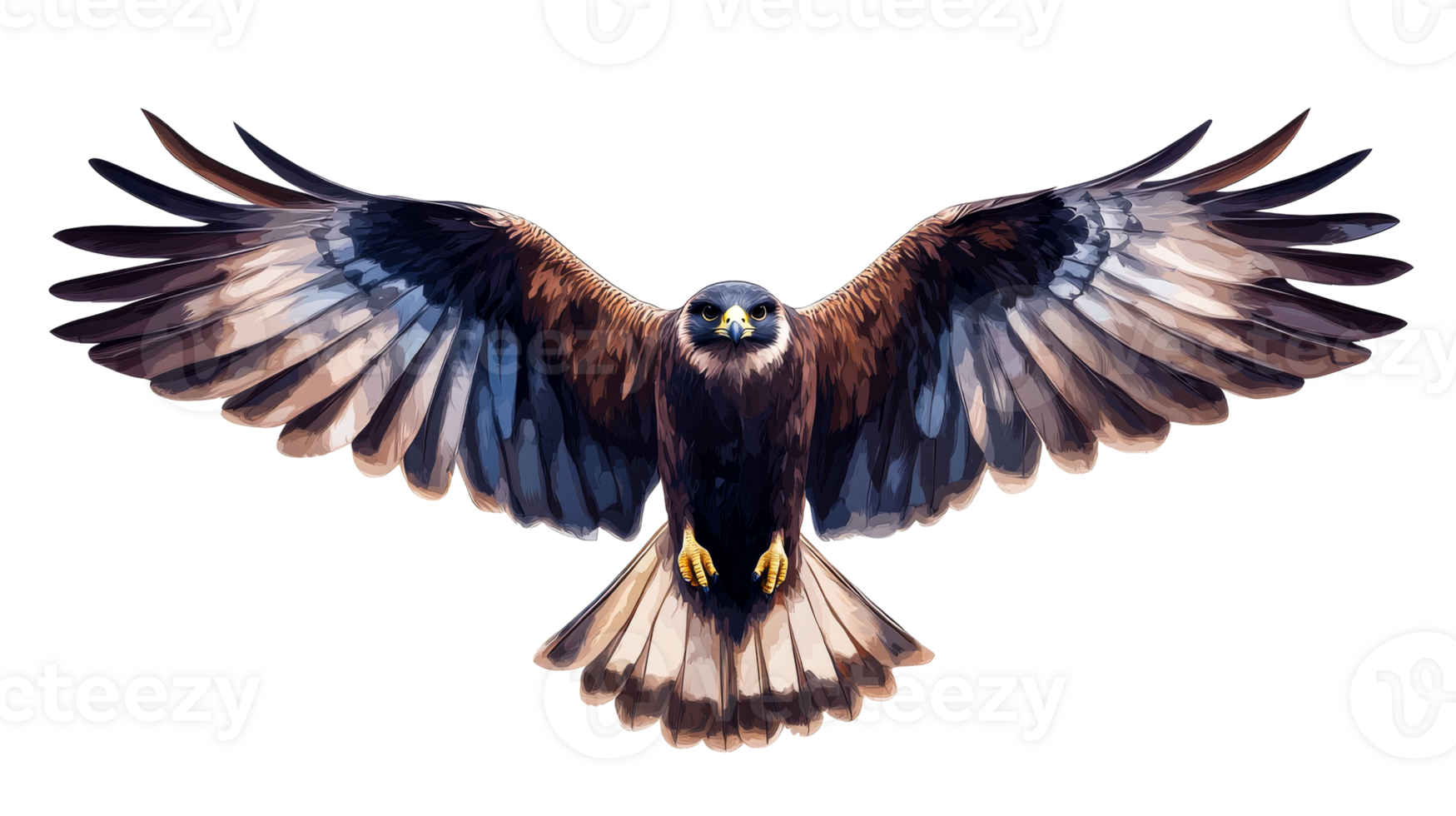 Majestic bird of prey soars, with wings fully spread, cut out transparent png